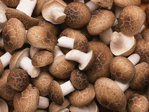 蔬菜配送實(shí)施規(guī)范化管理才能更長(zhǎng)久